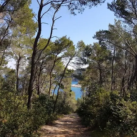 House B - 45m From The Sea